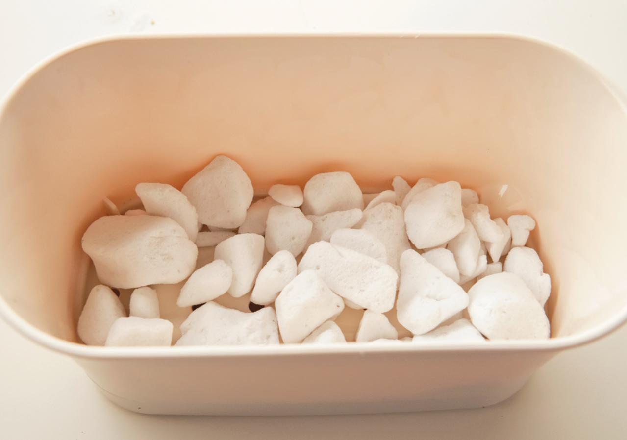 野菜が育っていく姿を見るのも楽しい【リボベジ】ニンニク、ネギ栽培のポイント（画像11）