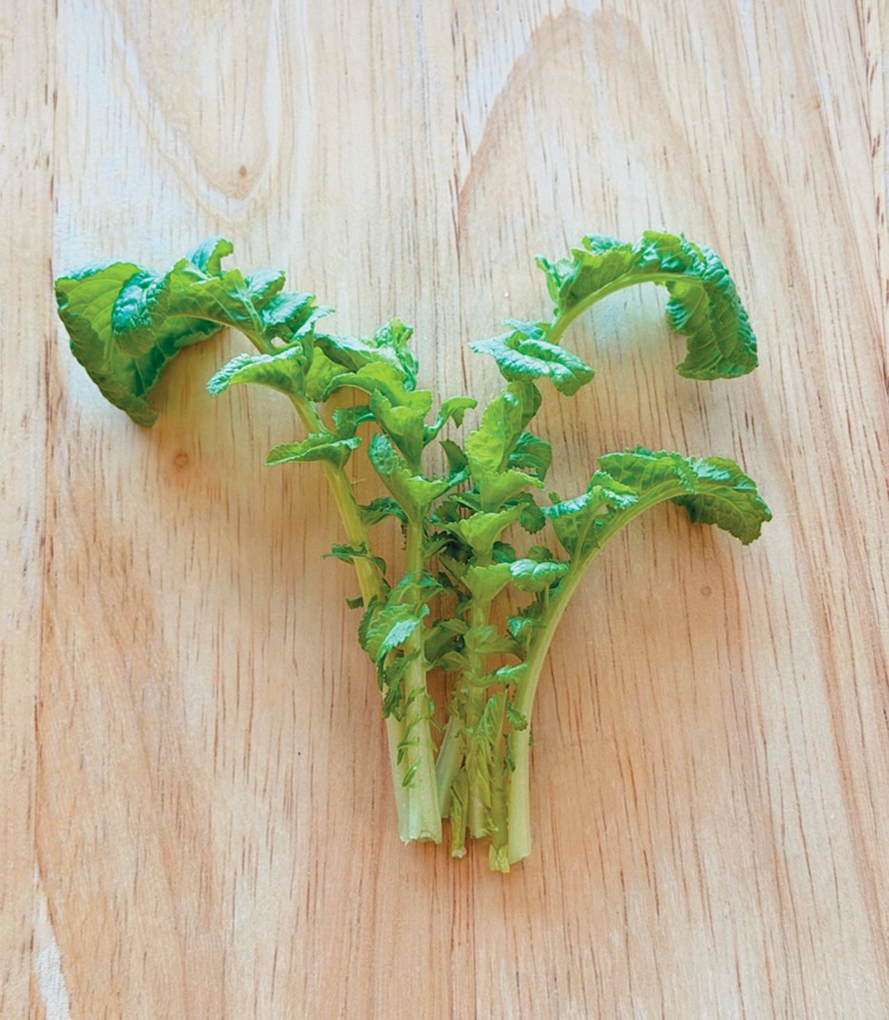 キッチンで簡単に育つ【リボベジ】リーフレタス、ニンジン、ダイコンの栽培方法は？（画像23）