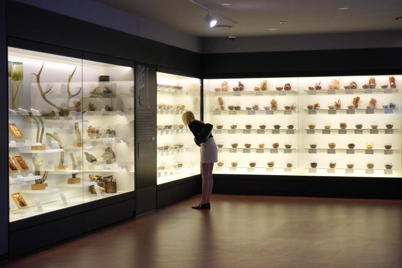 意外と安い！【ソウル韓方振興センター】の足湯＆マッサージ体験5000〜6000ウォン徹底ガイド/京東市場も一緒に楽しむコツは？（画像6）