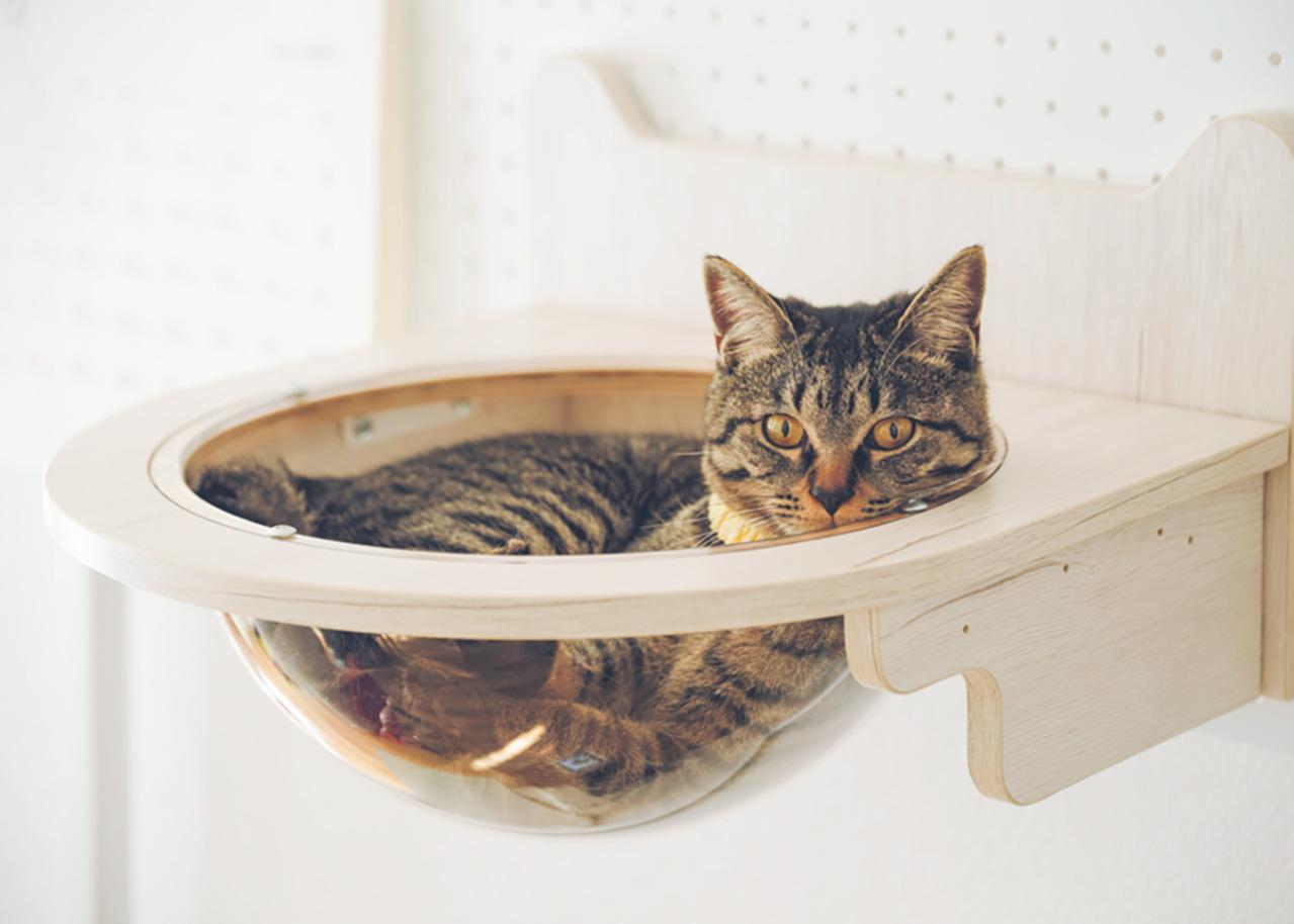 40代で離婚→60代でたどり着いた3DKの快適な暮らしとは？ 人気インスタ講師【エクリュさん】（画像6）