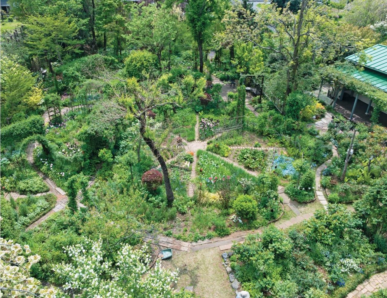 【チューリップ】が庭一面を彩る！  埼玉のオープンガーデン「グリーンローズ」が公開スタート（画像8）