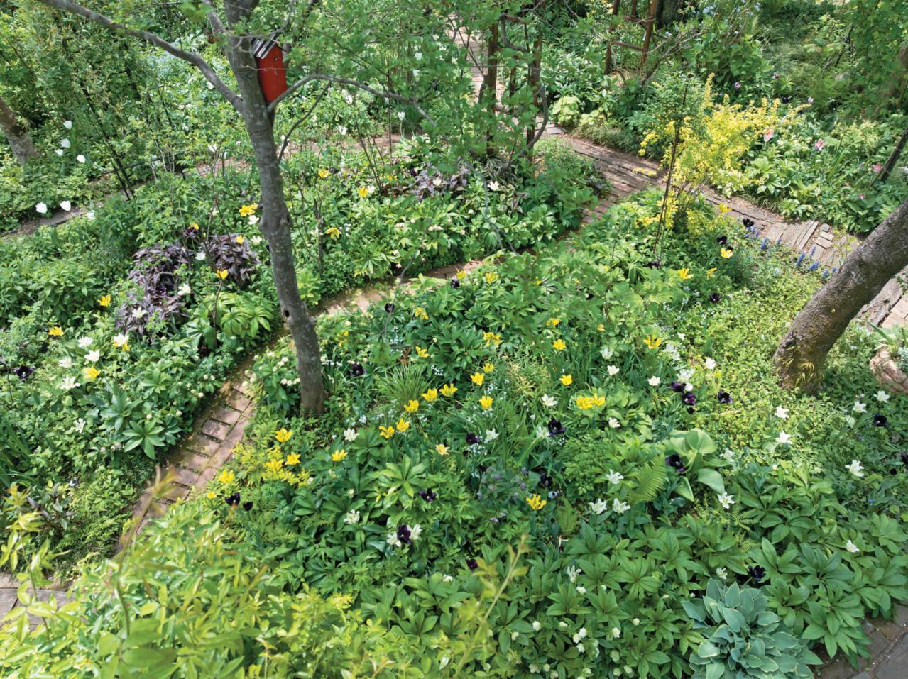 【チューリップ】が庭一面を彩る！  埼玉のオープンガーデン「グリーンローズ」が公開スタート（画像10）