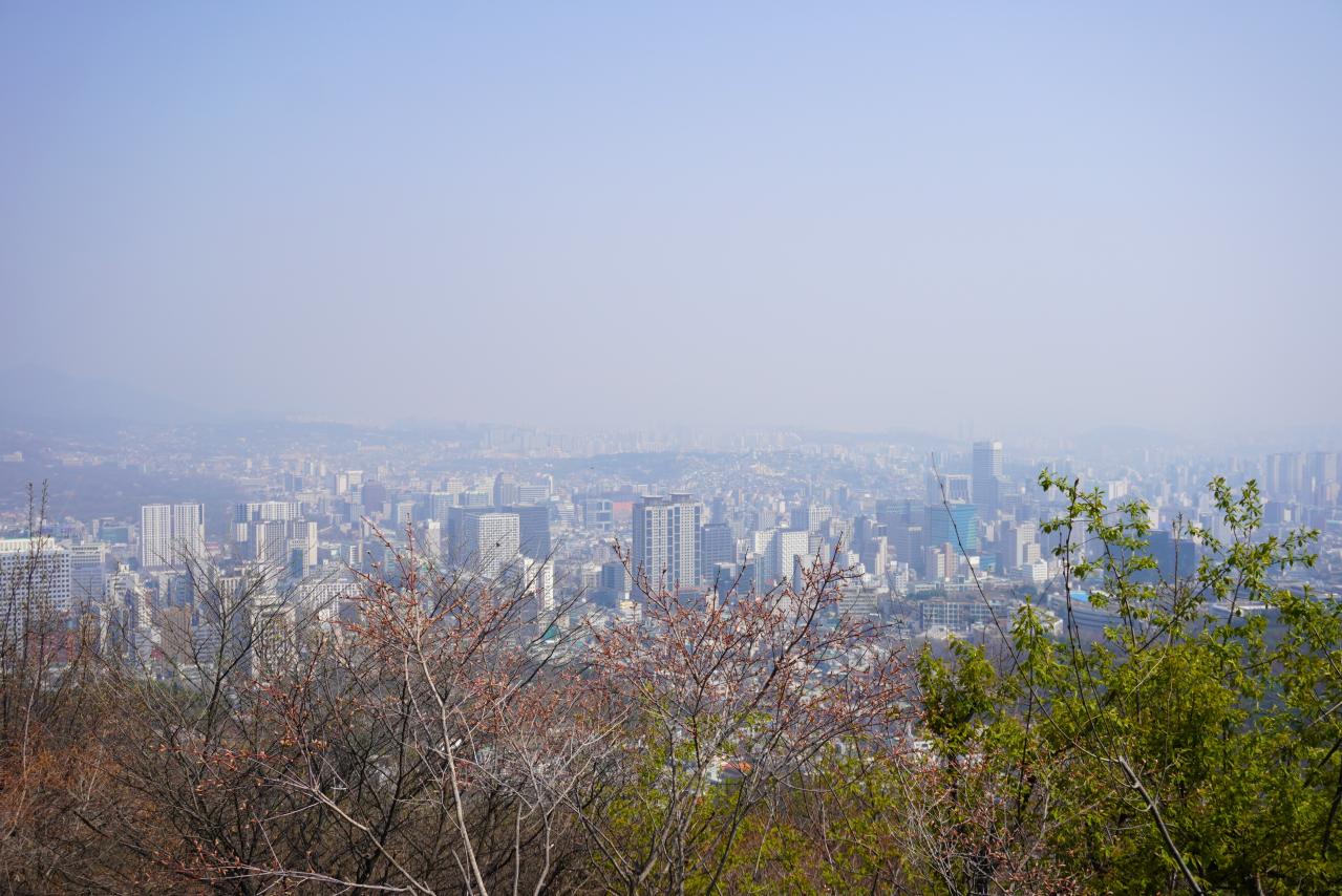 【2026年最新】ソウルの桜が意外と早い！南山をバスでラクに登って徒歩で下山（画像6）