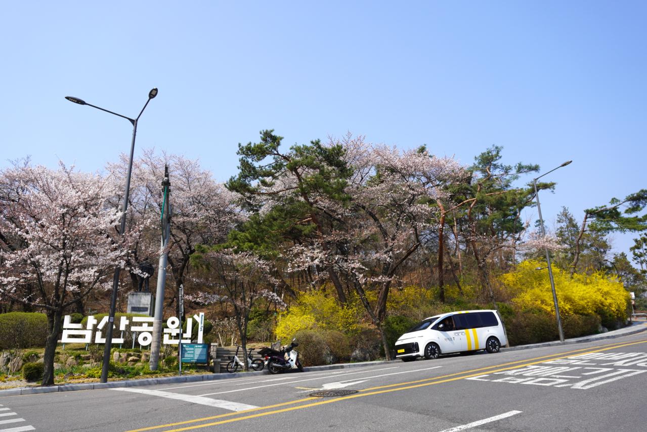 【2026年最新】ソウルの桜が意外と早い！南山をバスでラクに登って徒歩で下山（画像2）