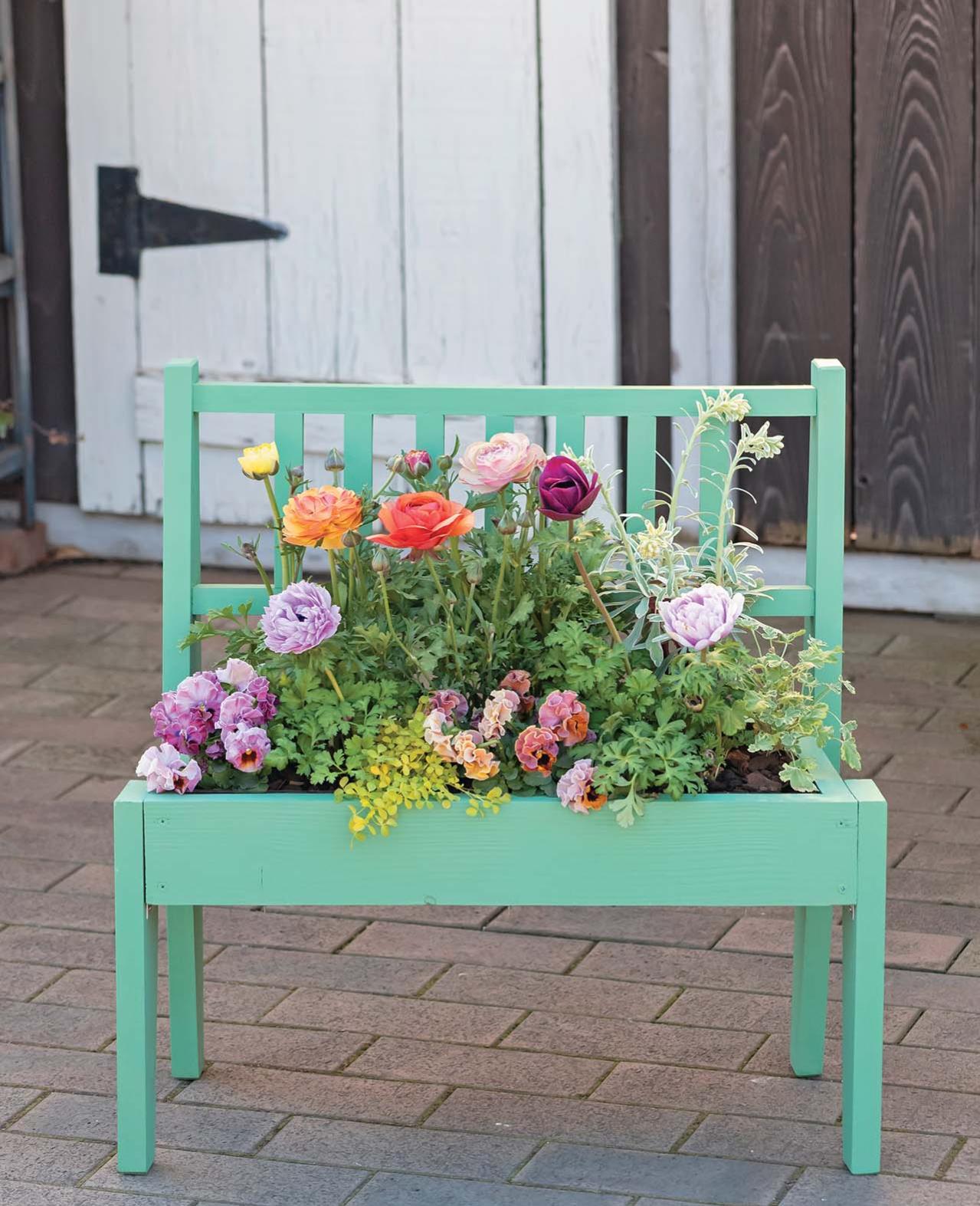 フローラ黒田園芸【黒田健太郎さん】が伝授！ カラフルな「ラナンキュラス×アネモネ」の寄せ植え（画像17）