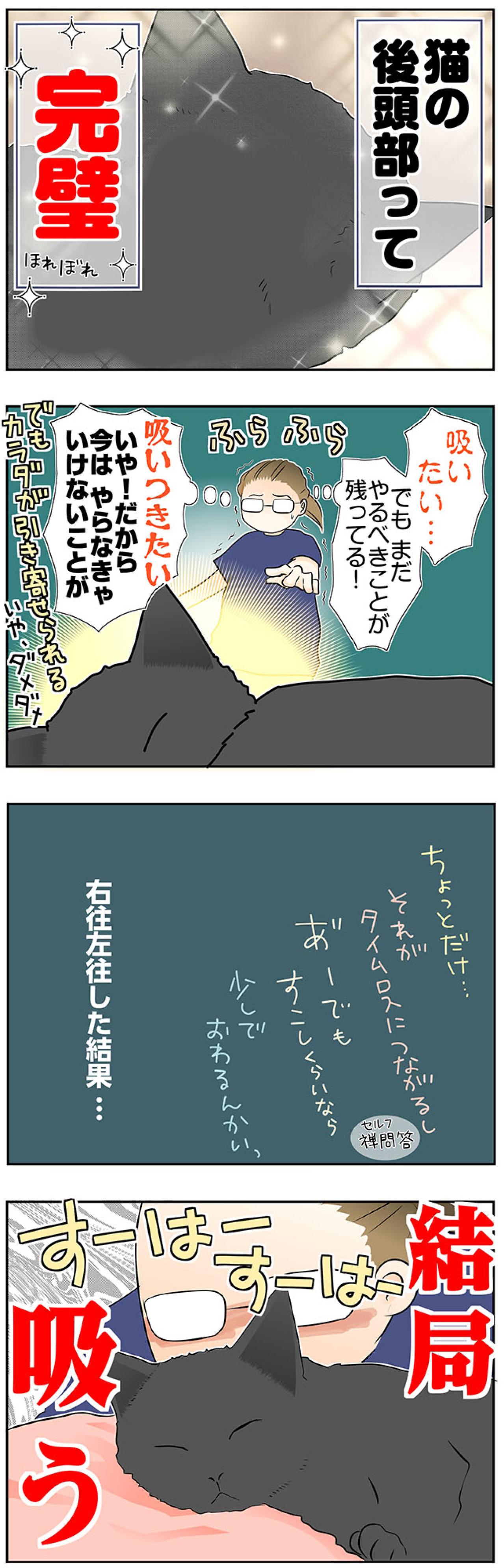 【マンガ・老猫日誌＃57】桃姐の後頭部を猫吸いする幸せ〜19歳の元保護猫・桃姐（画像3）