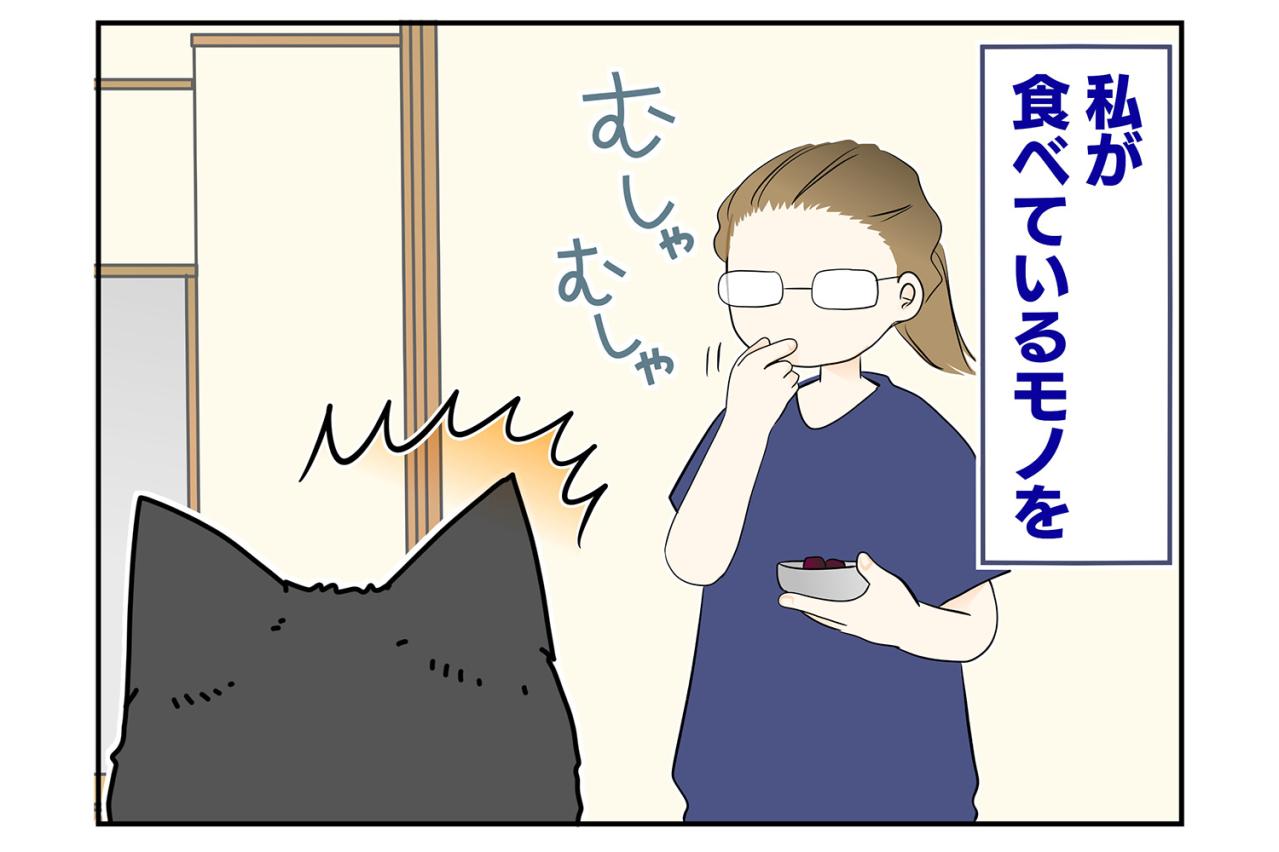 【マンガ・老猫日誌＃56】老猫にとってのおいしいおやつ〜19歳の元保護猫・桃姐