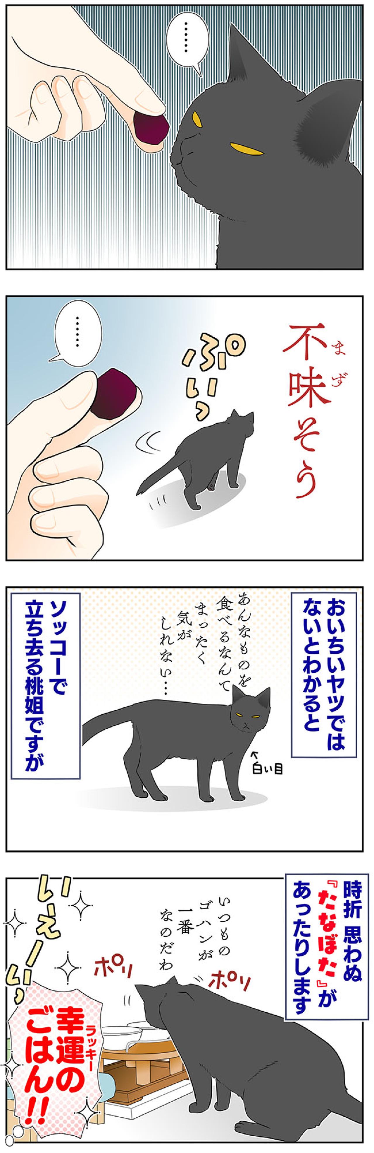 【マンガ・老猫日誌＃56】老猫にとってのおいしいおやつ〜19歳の元保護猫・桃姐（画像3）