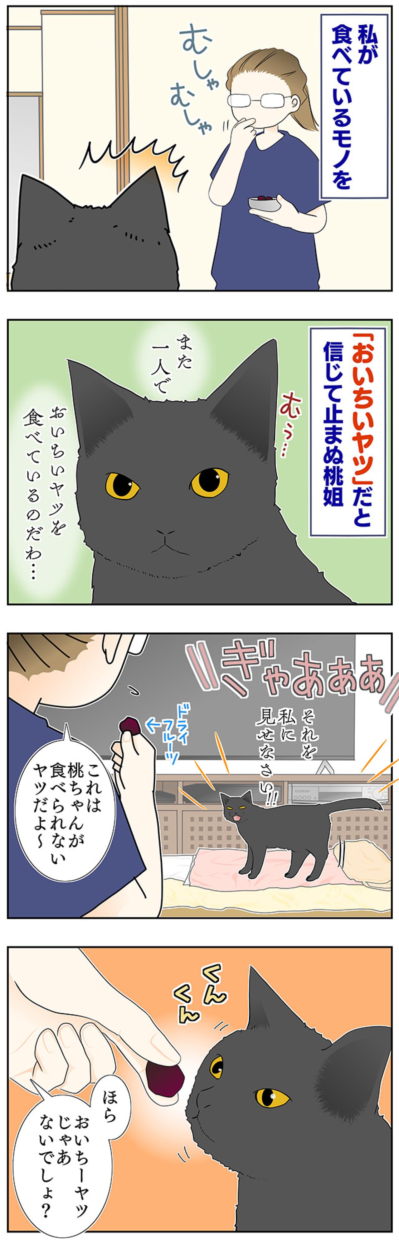 【マンガ・老猫日誌＃56】老猫にとってのおいしいおやつ〜19歳の元保護猫・桃姐（画像2）