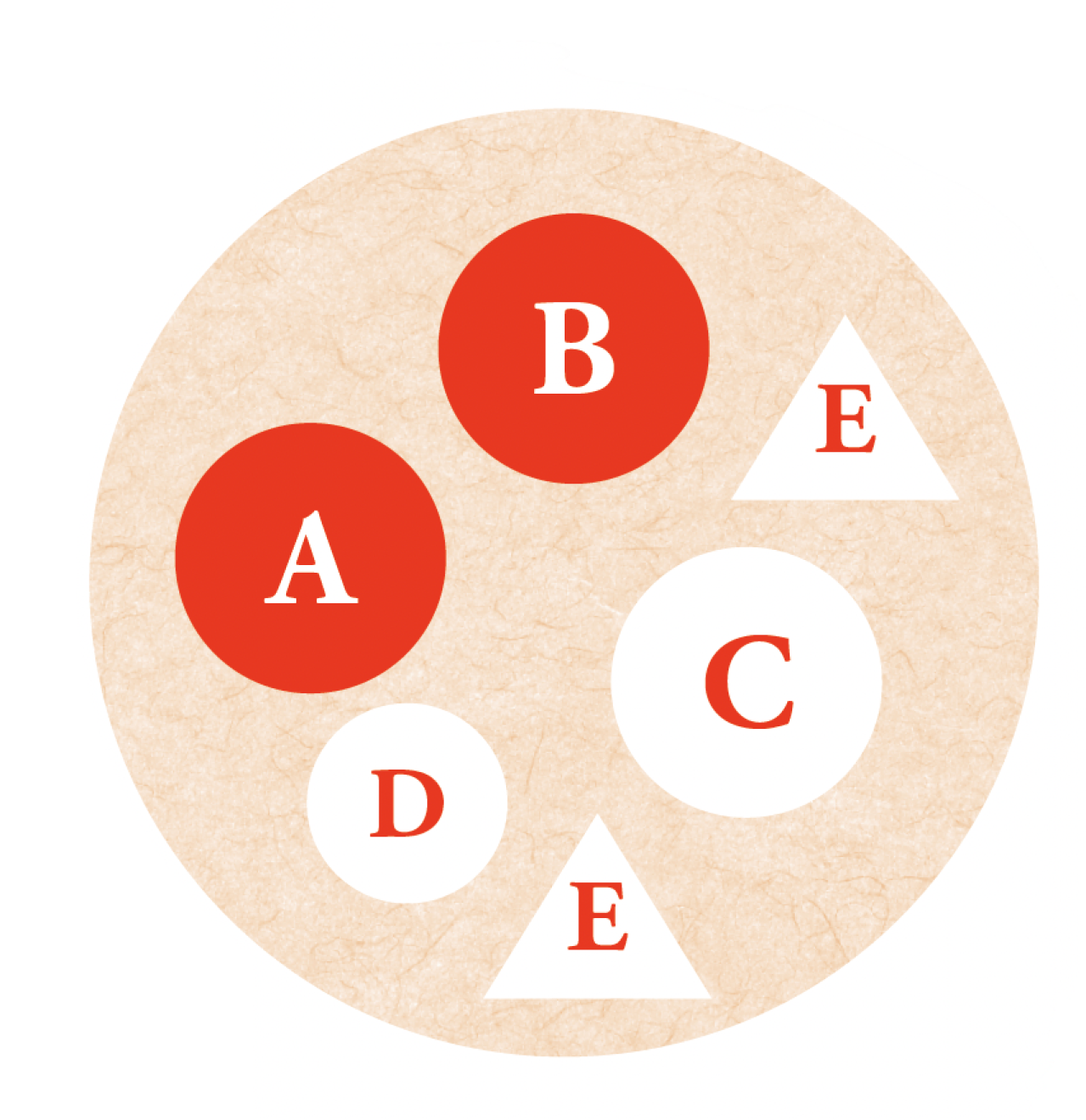 フローラ黒田園芸【黒田健太郎さん】が伝授！ カラフルな「ラナンキュラス×アネモネ」の寄せ植え（画像3）