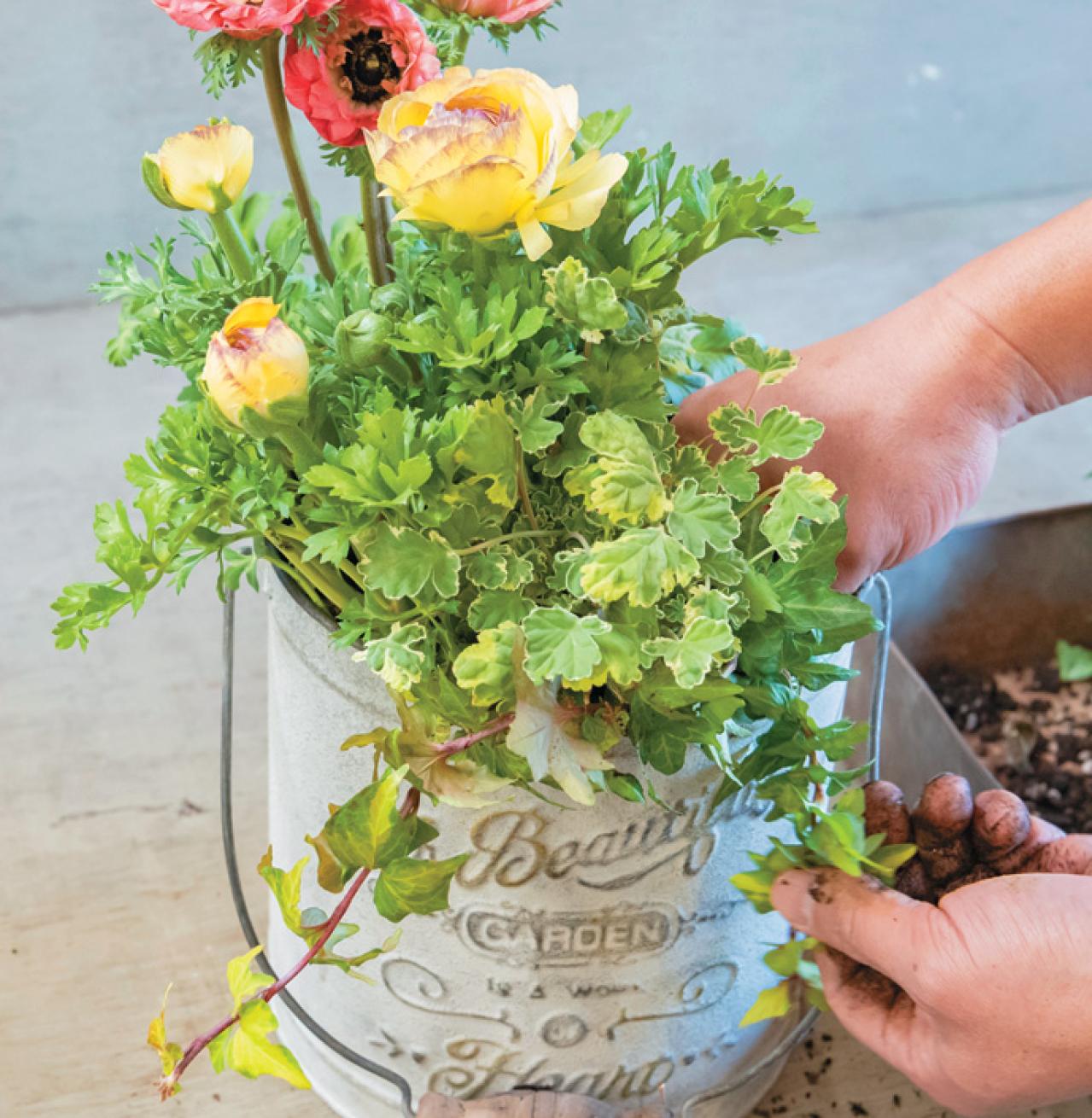 フローラ黒田園芸【黒田健太郎さん】が伝授！ カラフルな「ラナンキュラス×アネモネ」の寄せ植え（画像12）