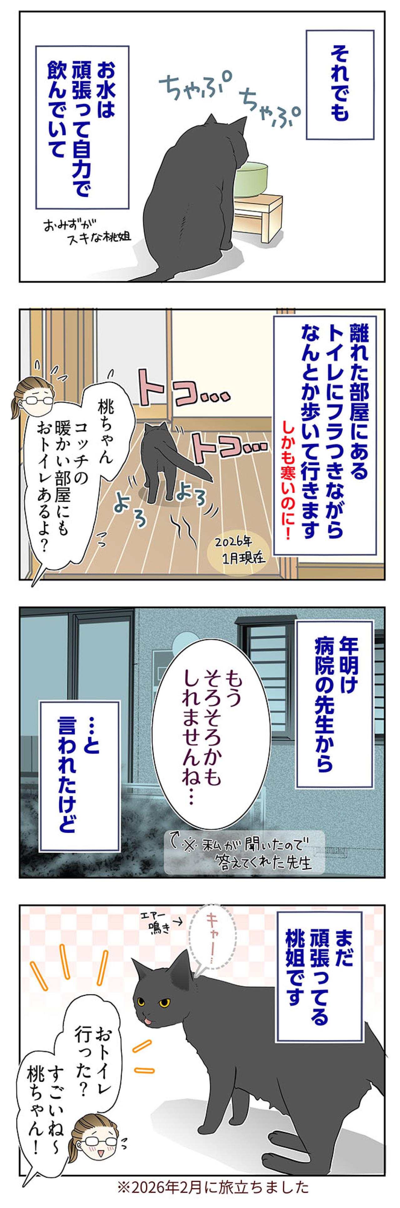 【マンガ・老猫日誌＃61】老猫、がんばる！〜19歳の元保護猫・桃姐（画像3）