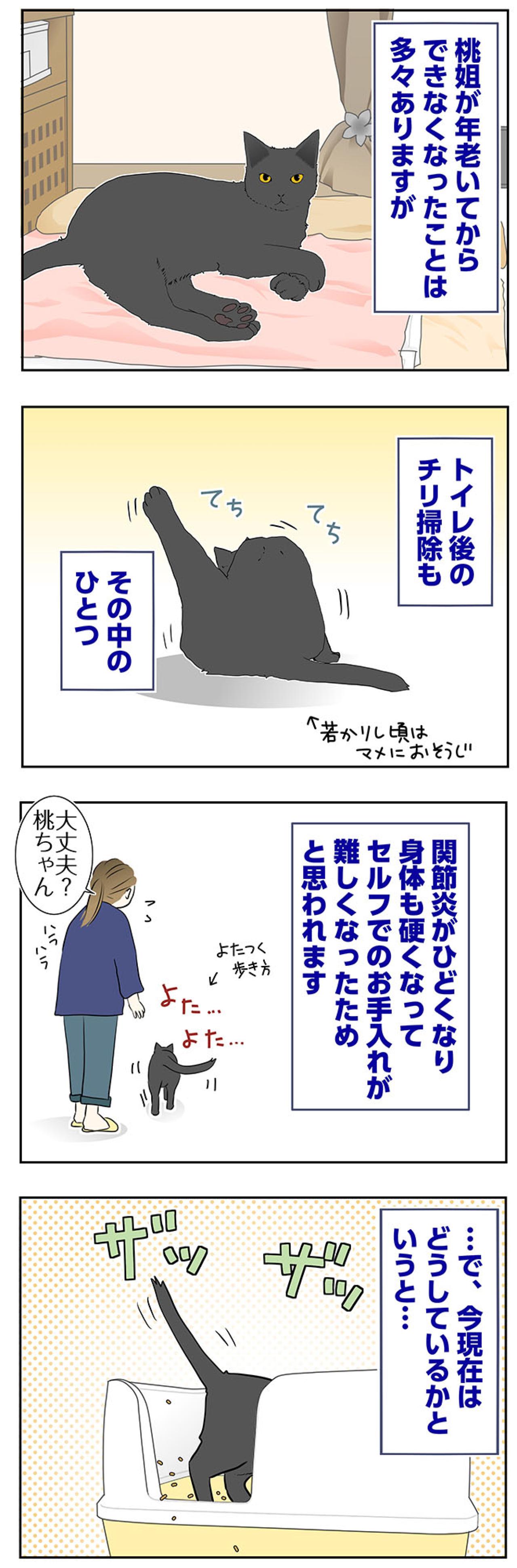 【マンガ・老猫日誌＃60】老猫、キレイを要求する！？〜19歳の元保護猫・桃姐（画像2）