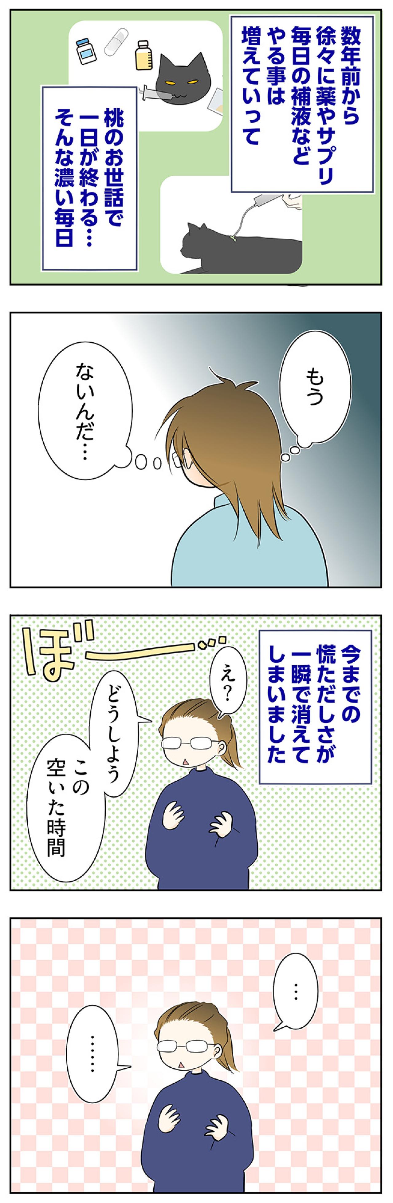 【マンガ・老猫日誌＃62】介護生活が終わって〜19歳の元保護猫・桃姐（画像3）