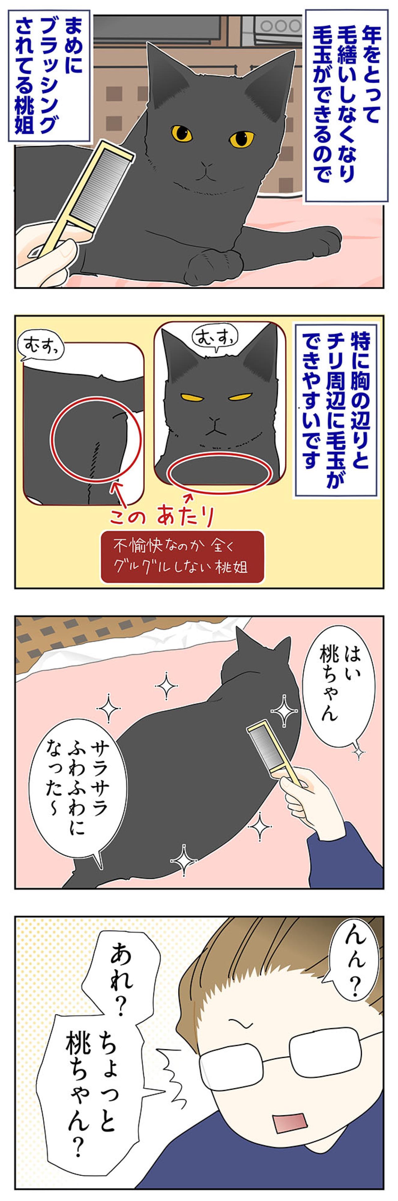 【マンガ・老猫日誌＃59】桃姐とうとう覚醒？〜19歳の元保護猫・桃姐（画像2）