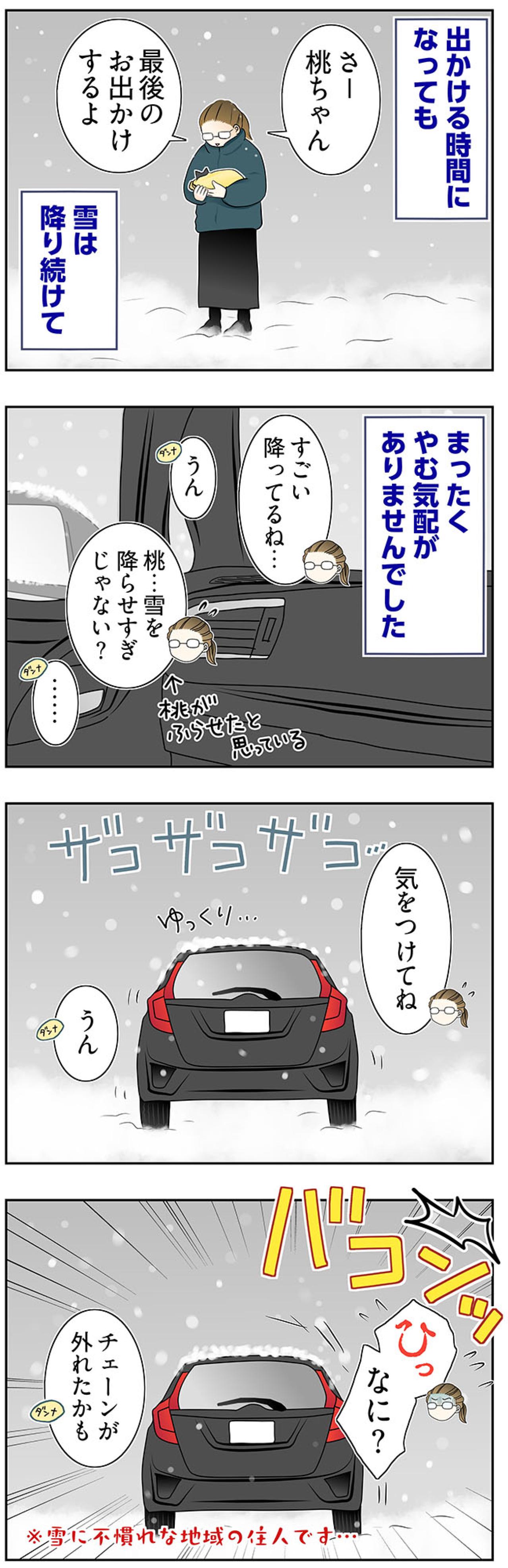 【マンガ・老猫日誌＃65】旅立つ老猫を見送る朝〜19歳の元保護猫・桃姐（画像3）