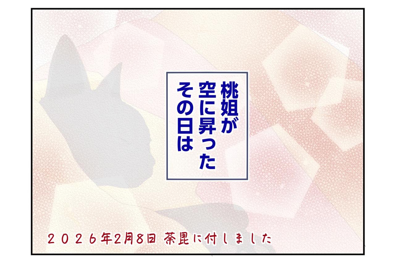 【マンガ・老猫日誌＃63】老猫が最後に叶えてくれたこと〜19歳の元保護猫・桃姐