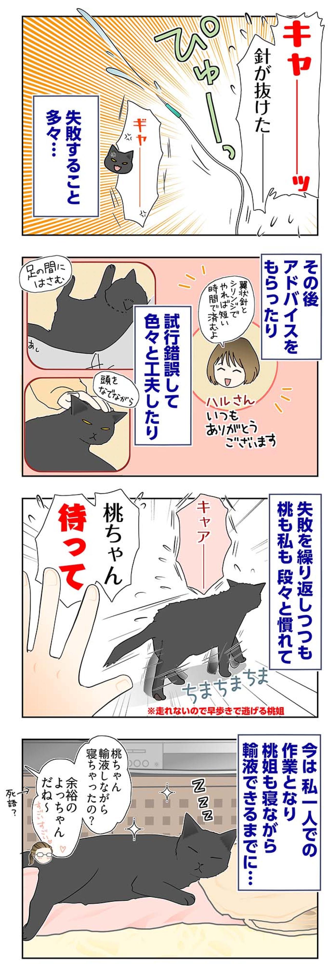 【マンガ・老猫日誌＃58】老猫と過ごす時間は濃い〜19歳の元保護猫・桃姐（画像3）