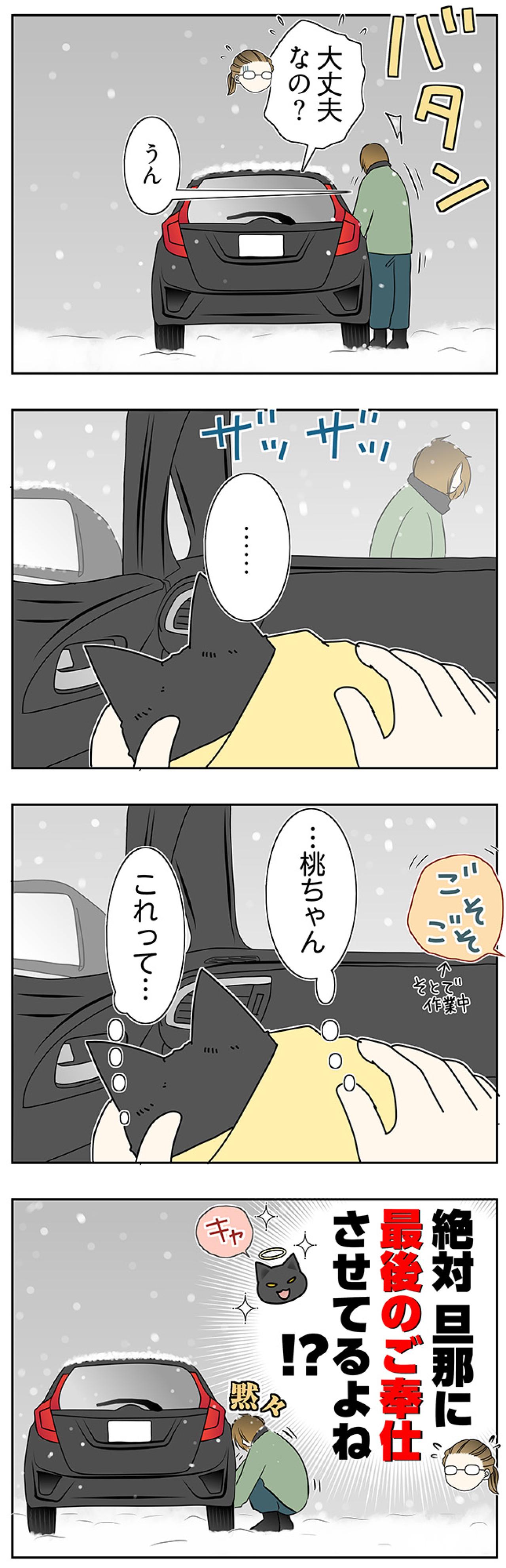 【マンガ・老猫日誌＃65】旅立つ老猫を見送る朝〜19歳の元保護猫・桃姐（画像4）
