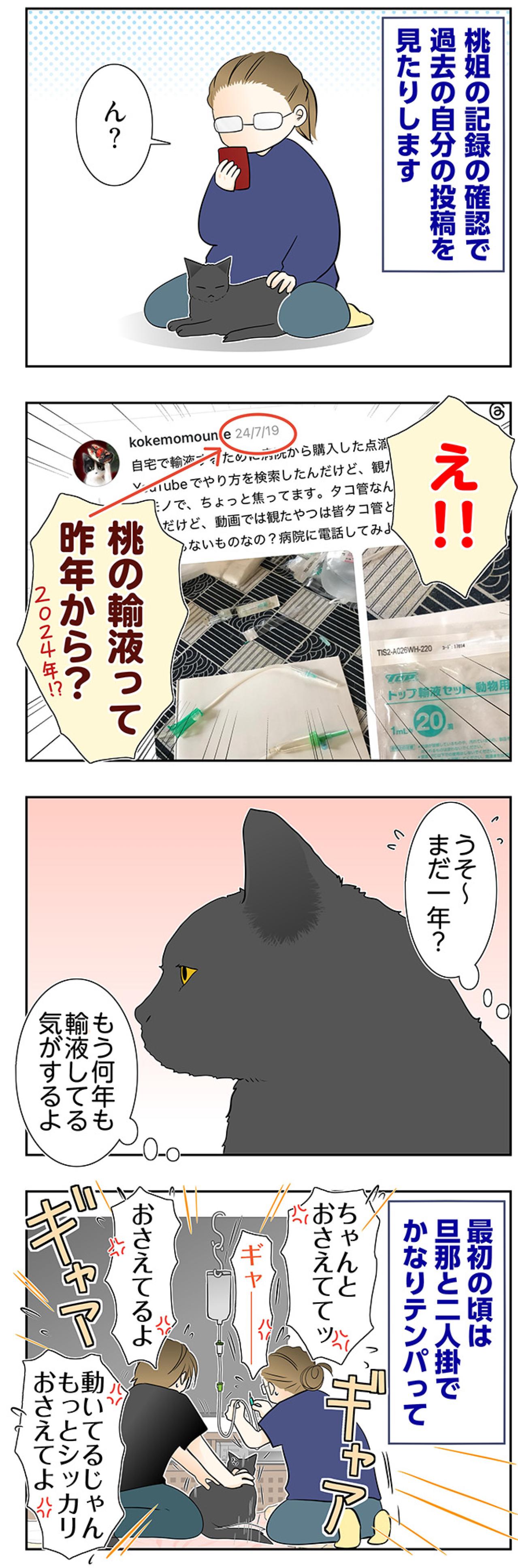 【マンガ・老猫日誌＃58】老猫と過ごす時間は濃い〜19歳の元保護猫・桃姐（画像2）