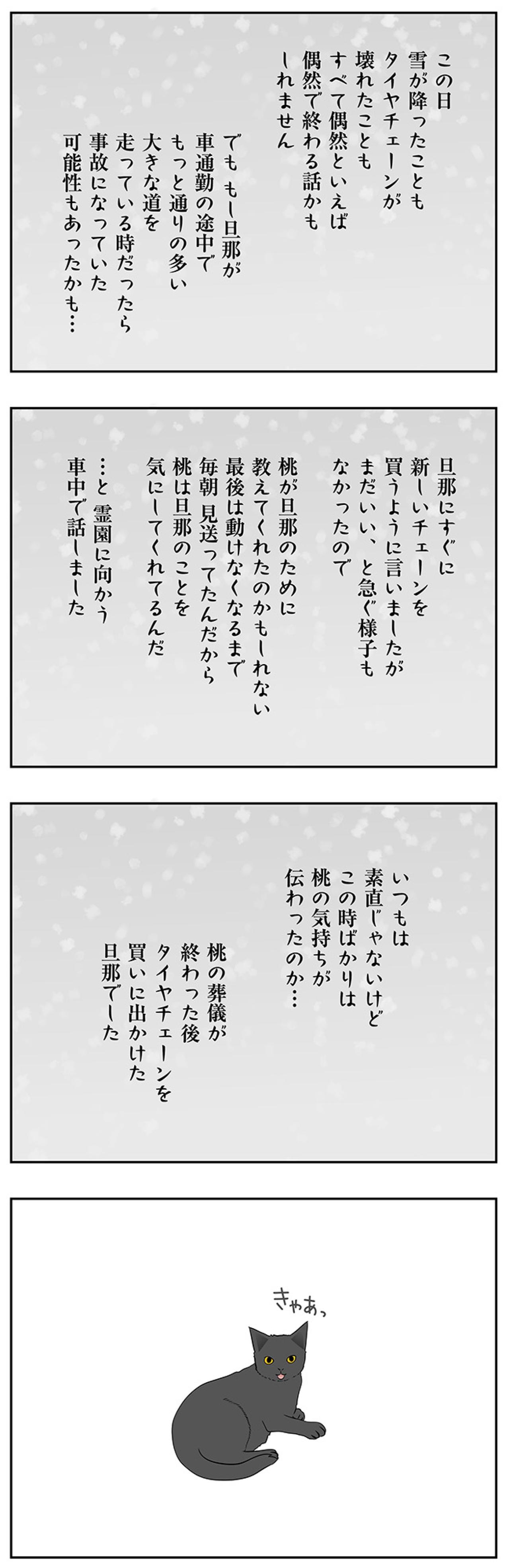 【マンガ・老猫日誌＃65】旅立つ老猫を見送る朝〜19歳の元保護猫・桃姐（画像5）