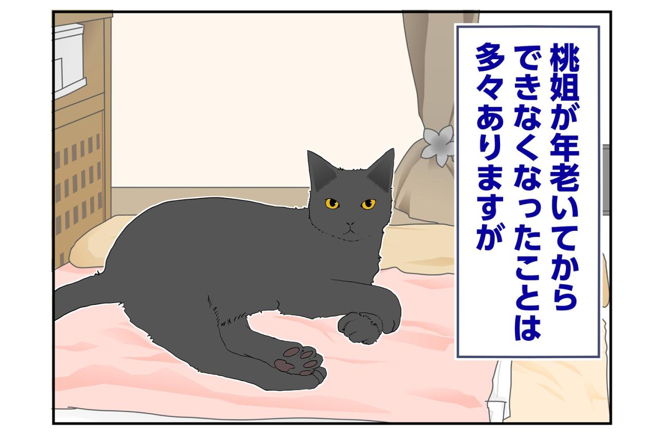 【マンガ・老猫日誌＃60】老猫、キレイを要求する！？〜19歳の元保護猫・桃姐