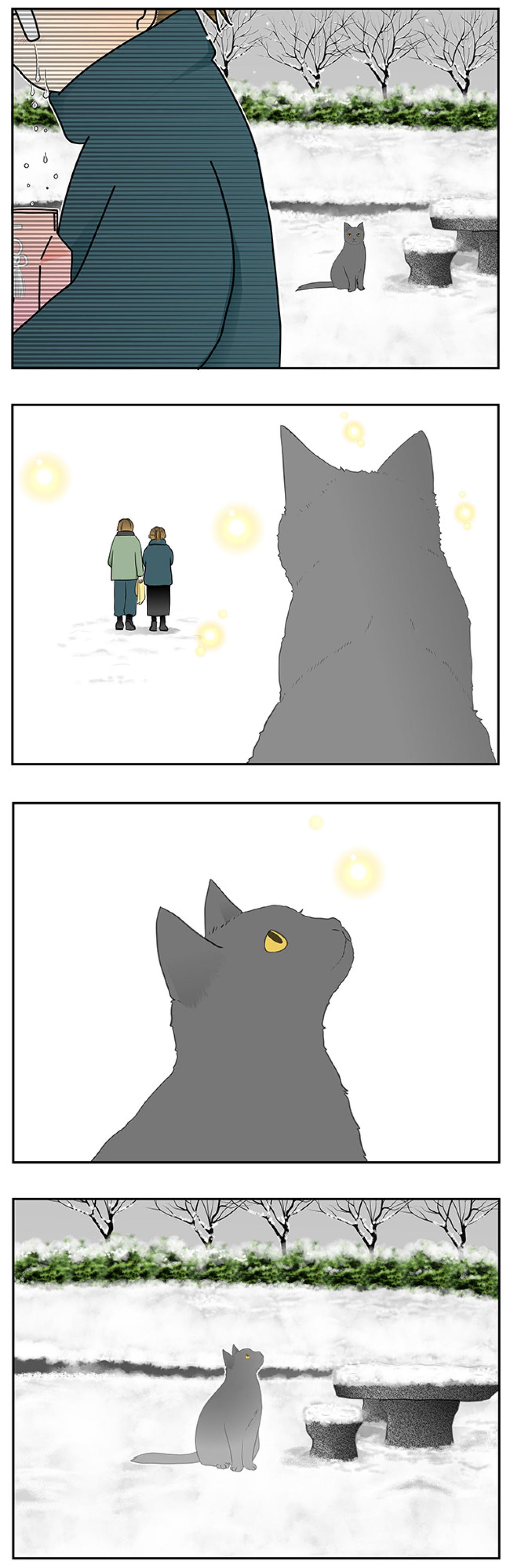 【マンガ・老猫日誌＃66】そして、雪はやんだ〜19歳の元保護猫・桃姐（画像5）