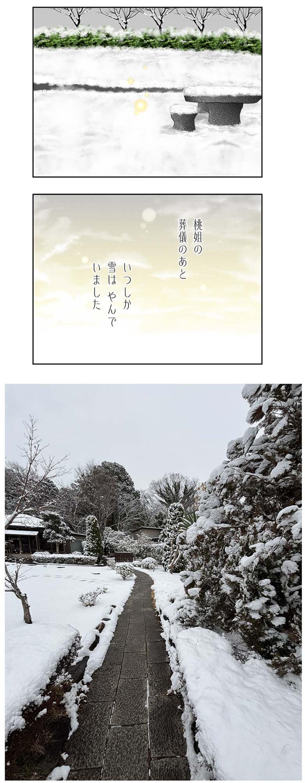 【マンガ・老猫日誌＃66】そして、雪はやんだ〜19歳の元保護猫・桃姐（画像6）