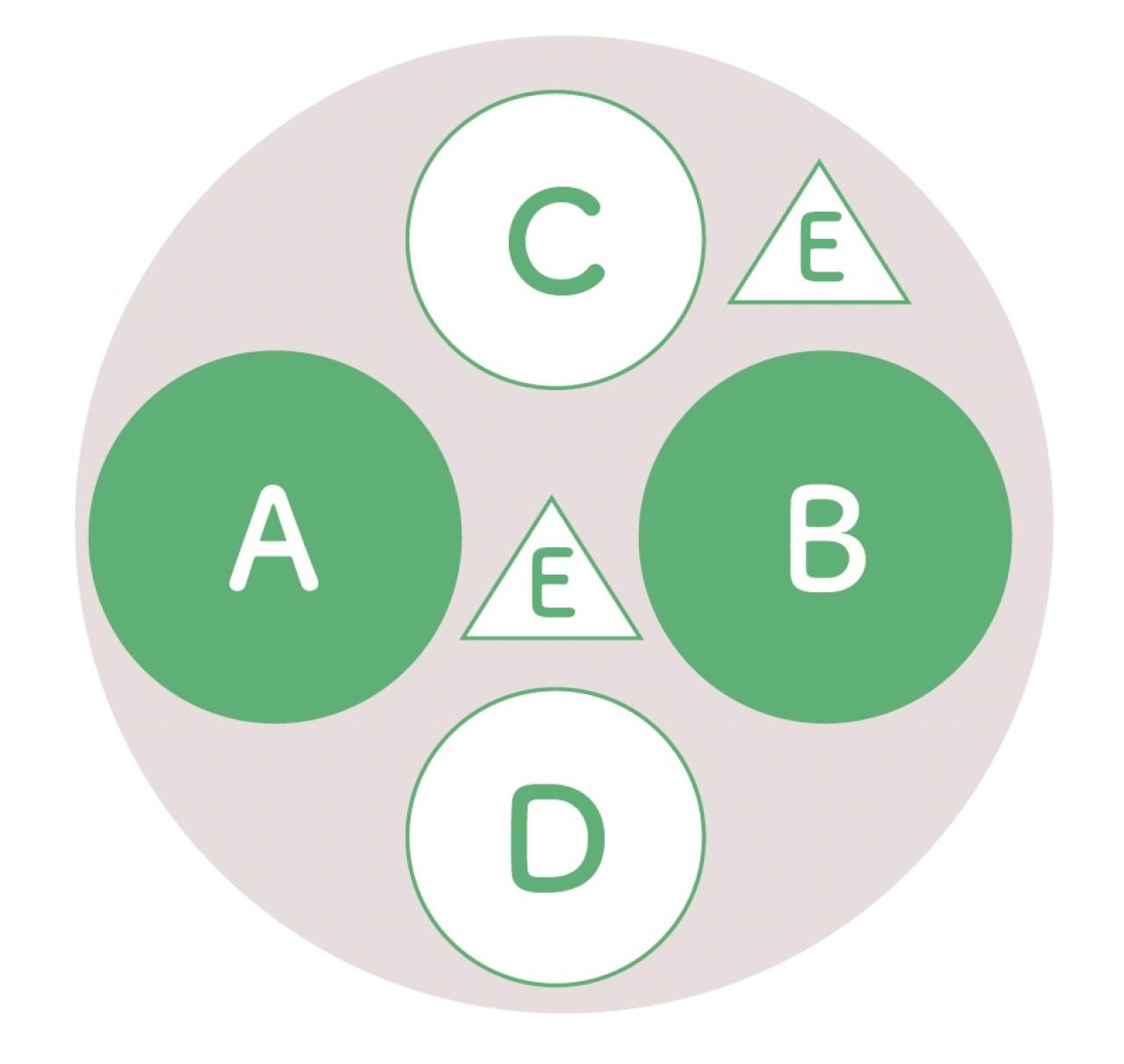 YouTubeで大人気！【オニちゃん】の愛らしいピンクの花で作る「春の寄せ植え」（画像11）
