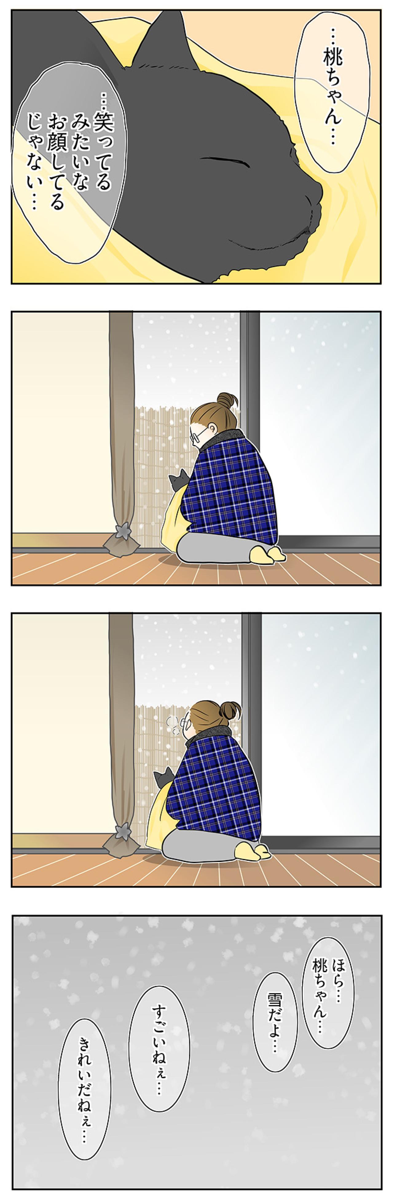 【マンガ・老猫日誌＃64】桃姐が見せた最後の奇跡〜19歳の元保護猫・桃姐（画像3）