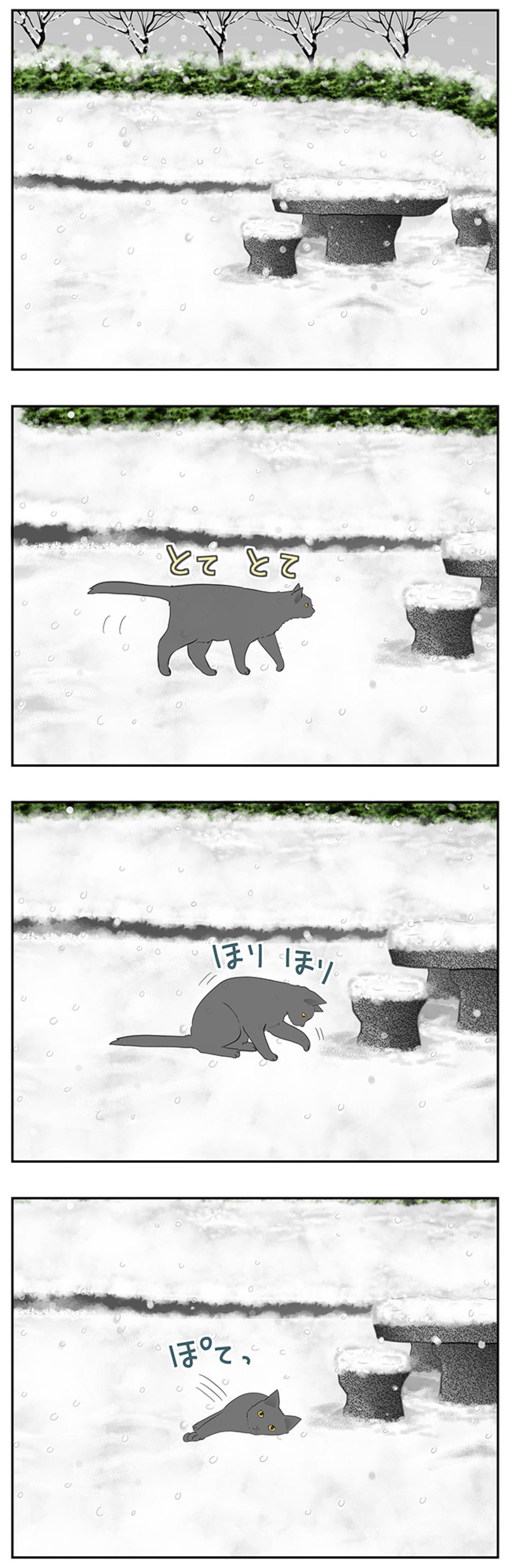 【マンガ・老猫日誌＃66】そして、雪はやんだ〜19歳の元保護猫・桃姐（画像2）