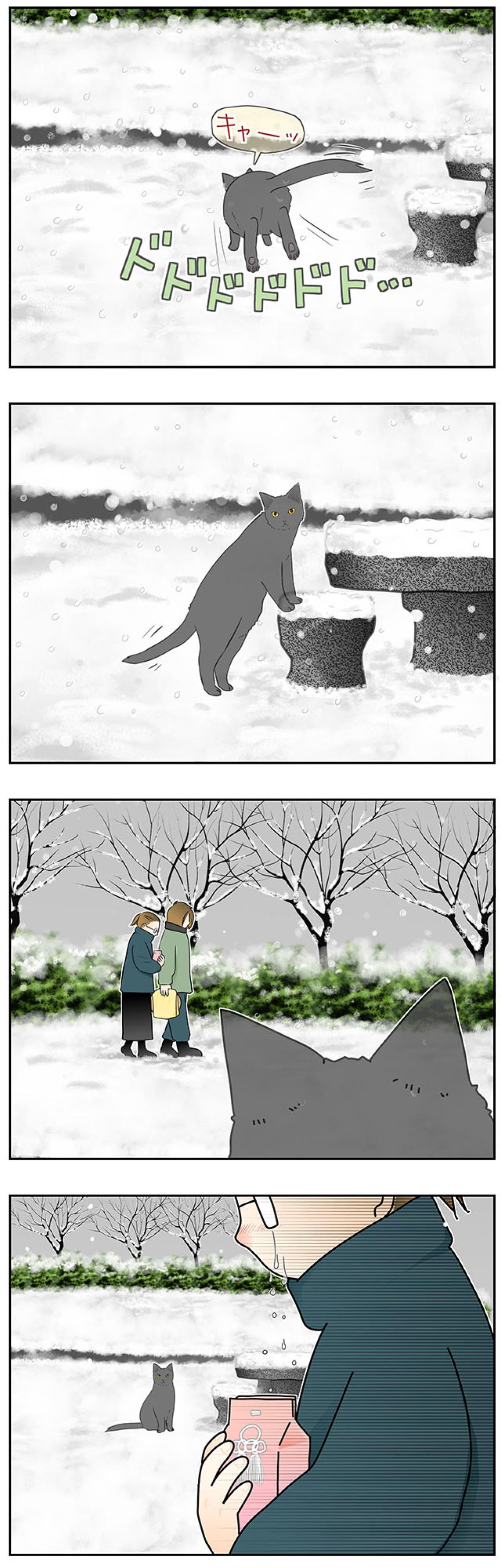 【マンガ・老猫日誌＃66】そして、雪はやんだ〜19歳の元保護猫・桃姐（画像4）