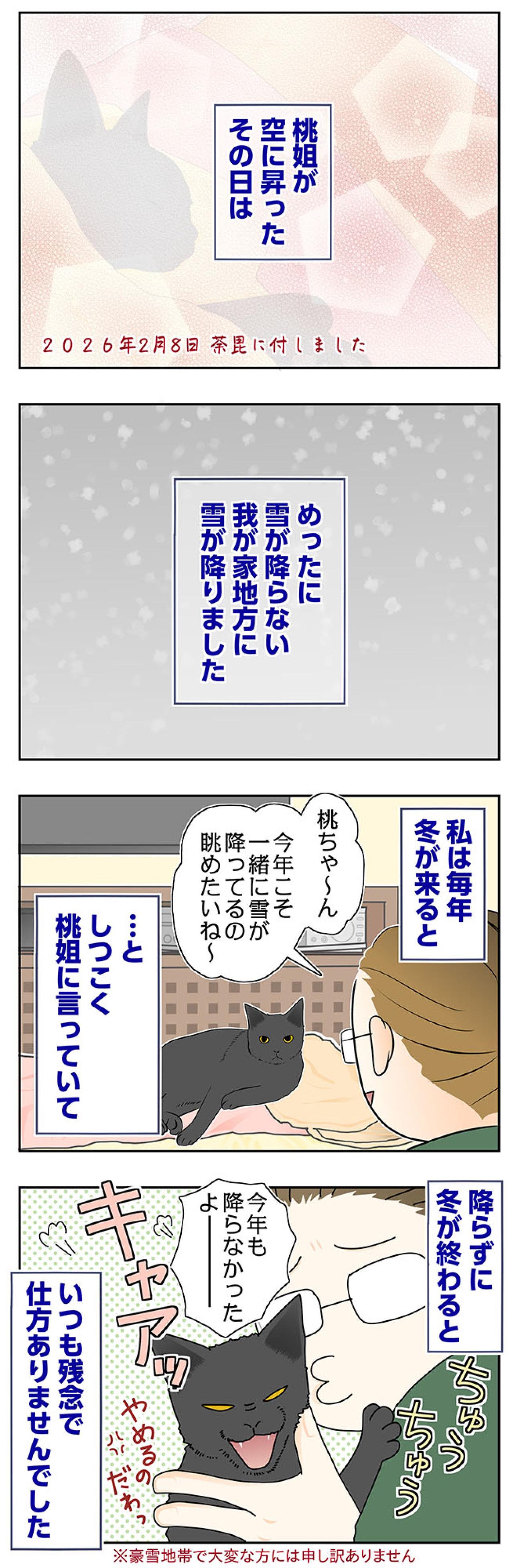 【マンガ・老猫日誌＃63】老猫が最後に叶えてくれたこと〜19歳の元保護猫・桃姐（画像2）