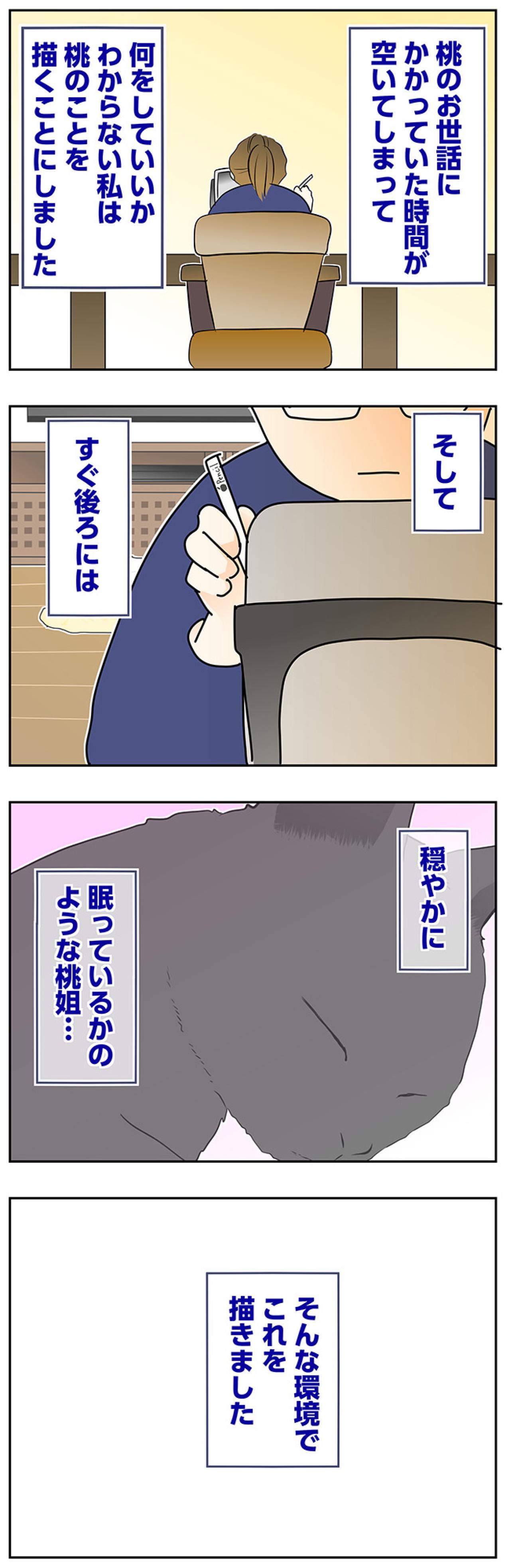 【マンガ・老猫日誌＃62】介護生活が終わって〜19歳の元保護猫・桃姐（画像4）
