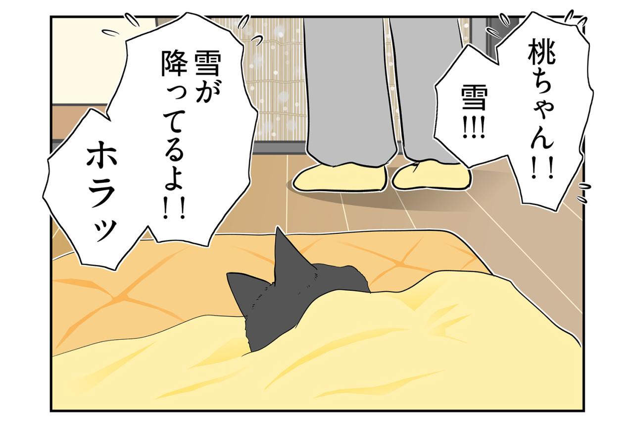 【マンガ・老猫日誌＃64】桃姐が見せた最後の奇跡〜19歳の元保護猫・桃姐