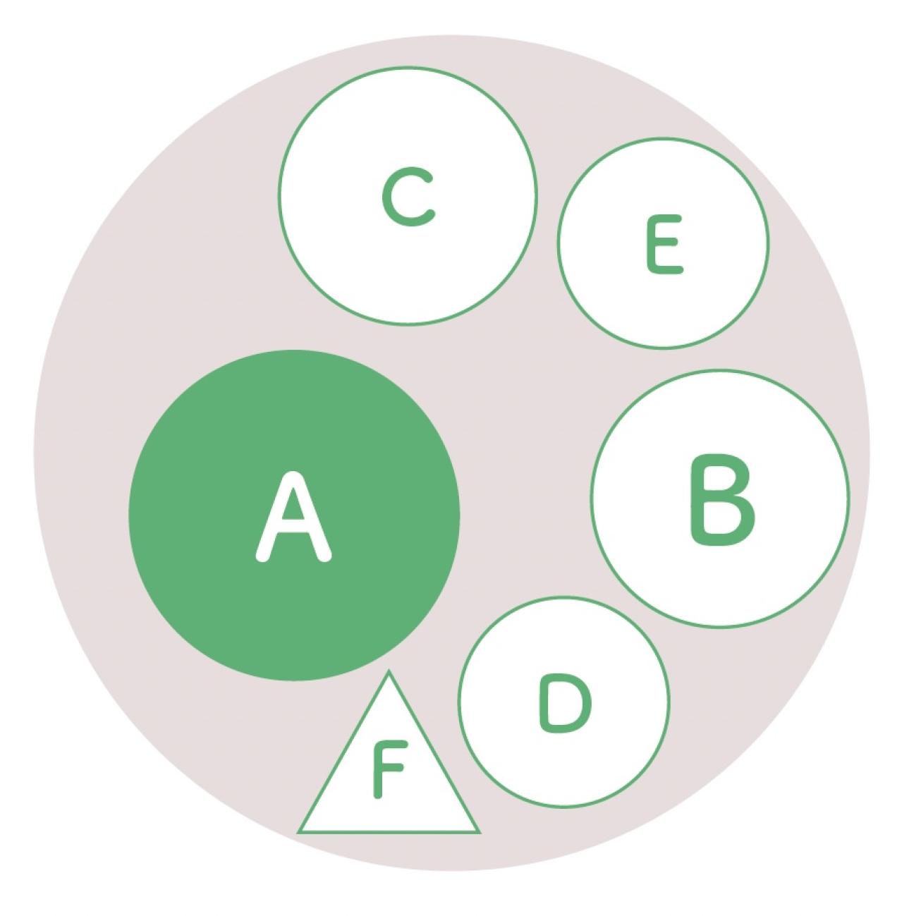 人気園芸店・店主【オニちゃん】が提案！ イエロー＆ホワイトの「春の寄せ植え」（画像3）