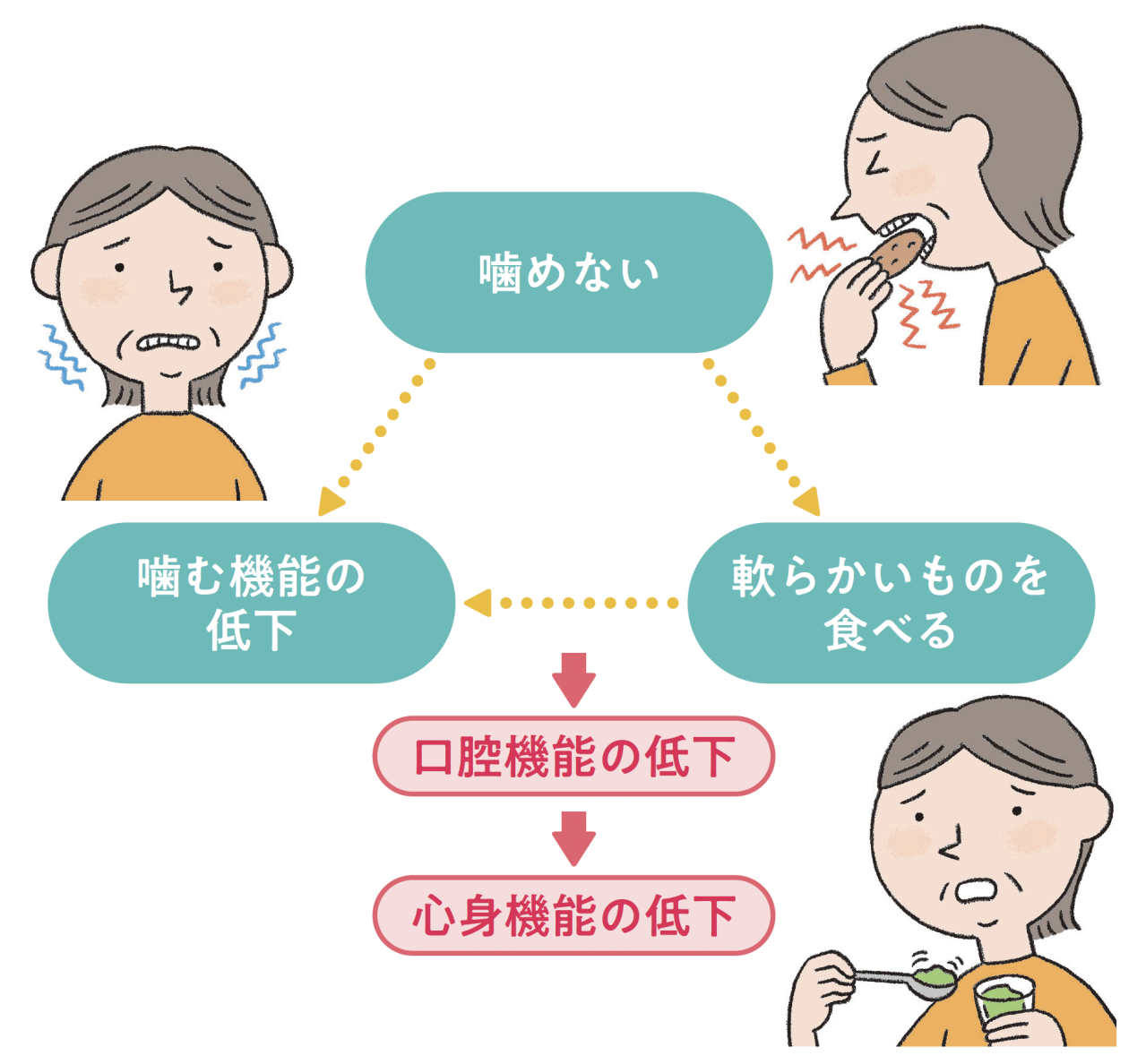 「むせる・滑舌が悪い」は危険信号？【オーラルフレイル】の危険度チェックと対策法（画像3）