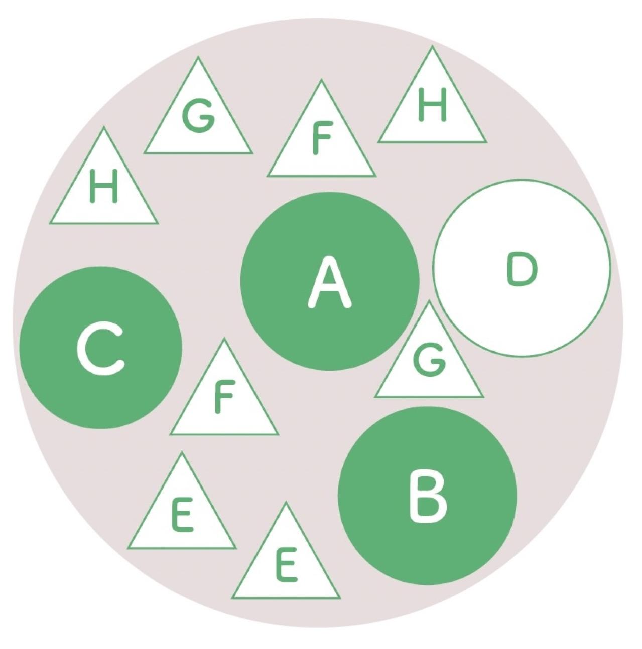 春に植えて長く楽しむ！【オニちゃん】のパープル＆ブルーの寄せ植え（画像3）