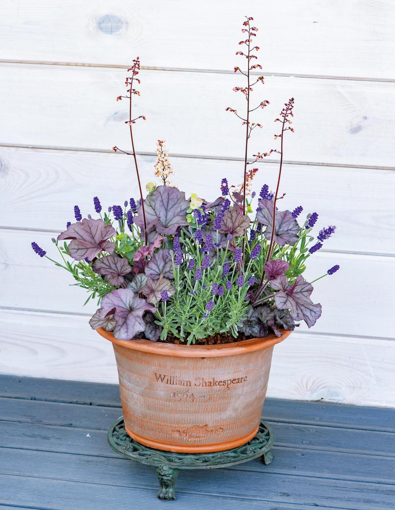 春に植えて長く楽しむ！【オニちゃん】のパープル＆ブルーの寄せ植え（画像8）