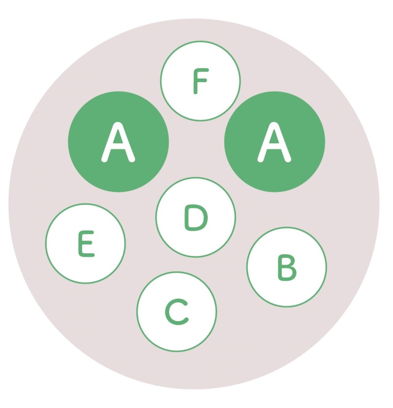 人気園芸店・店主【オニちゃん】が提案！ イエロー＆ホワイトの「春の寄せ植え」（画像6）