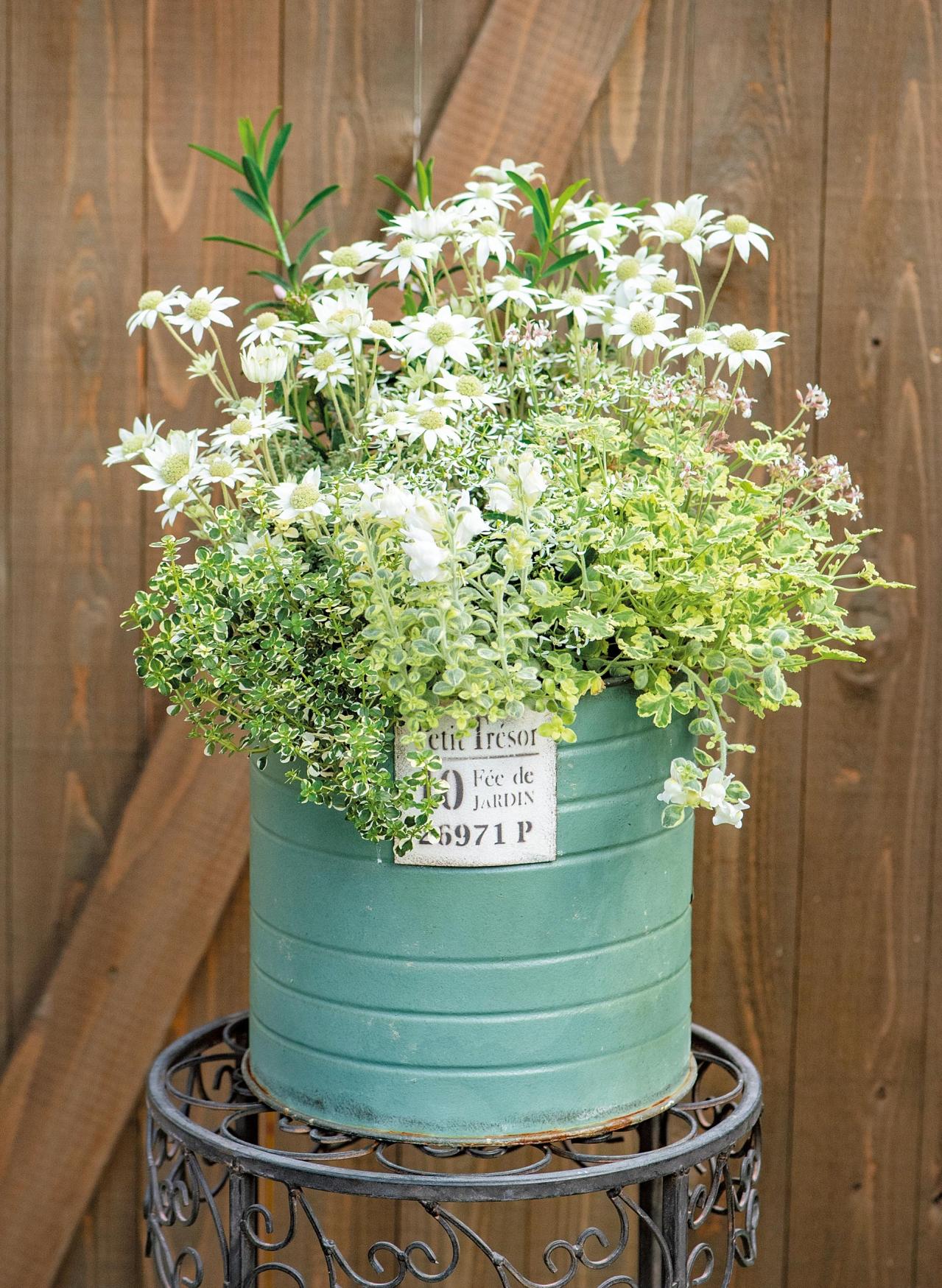 人気園芸店・店主【オニちゃん】が提案！ イエロー＆ホワイトの「春の寄せ植え」（画像5）