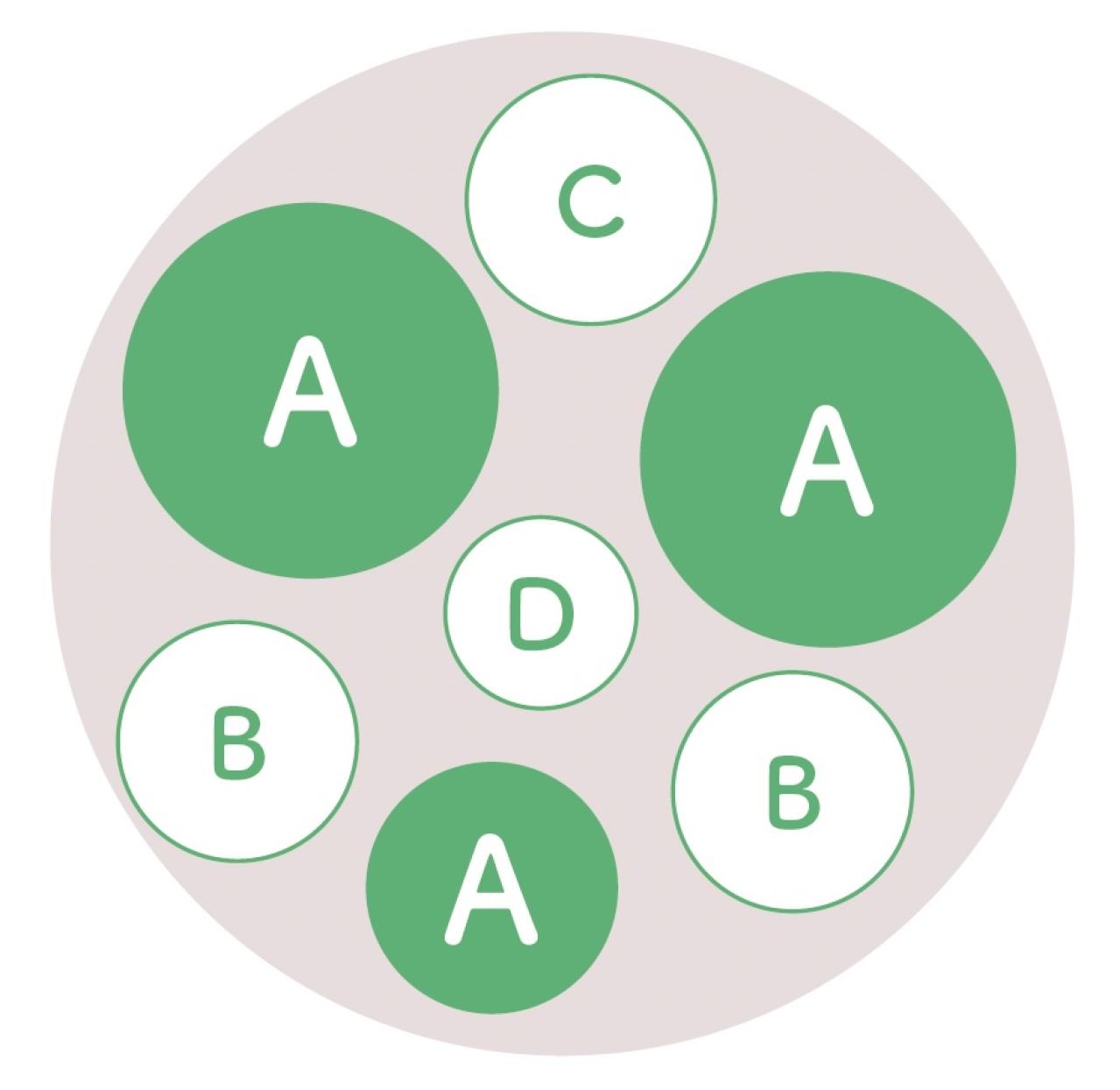 春に植えて長く楽しむ！【オニちゃん】のパープル＆ブルーの寄せ植え（画像9）