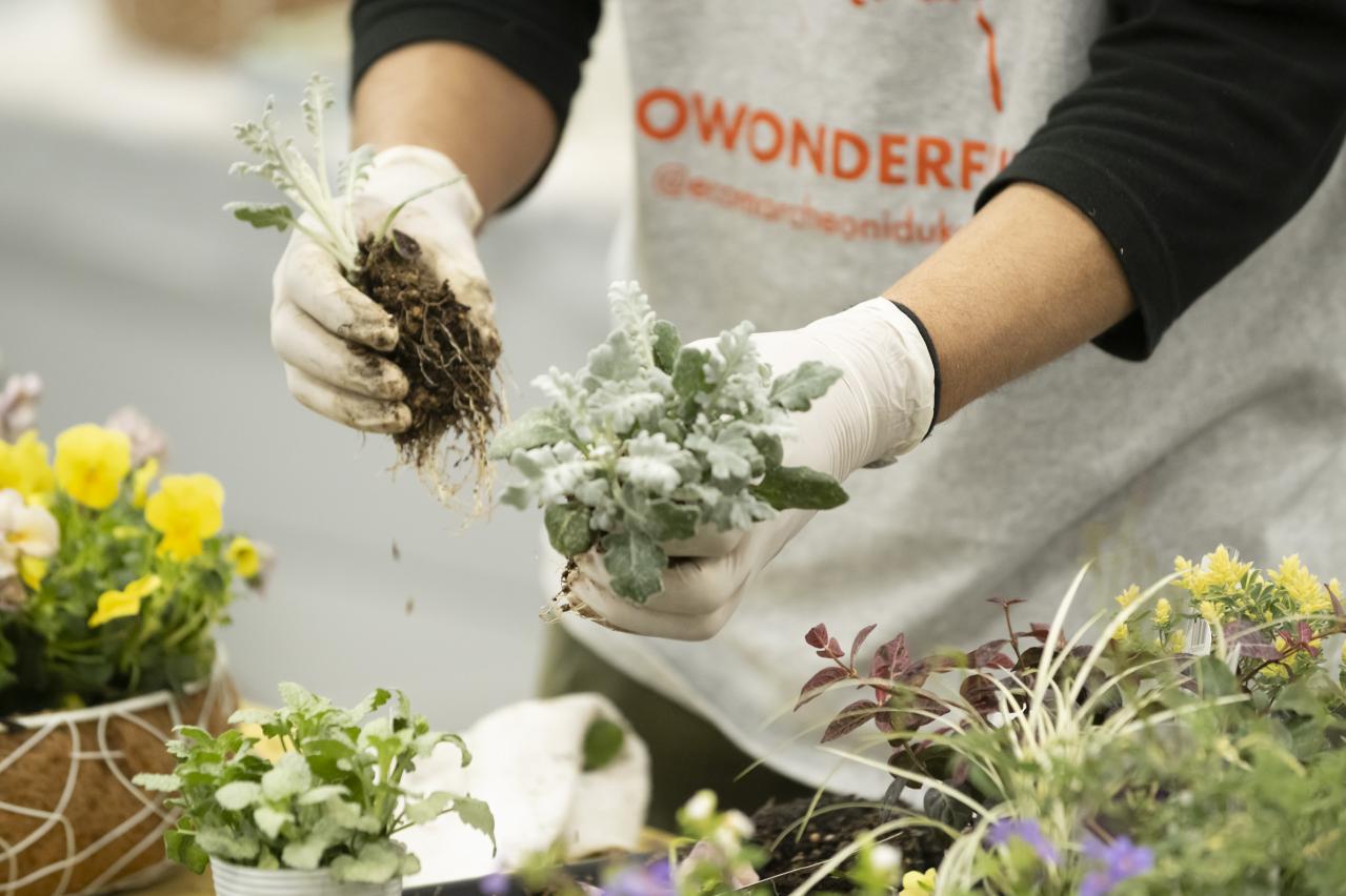 人気YouTuber【オニちゃん】が伝授！おしゃれな「寄せ植え」を作る3つのルールとは？（画像6）