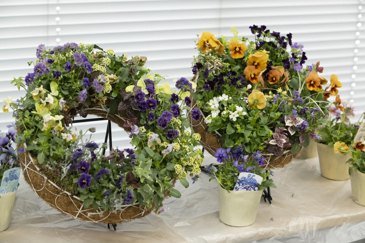 人気YouTuber【オニちゃん】が伝授！おしゃれな「寄せ植え」を作る3つのルールとは？