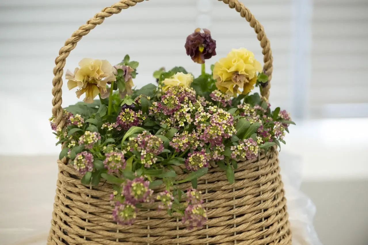 寄せ植えで失敗する原因は「土の入れ方」にあり!? YouTubeで大人気