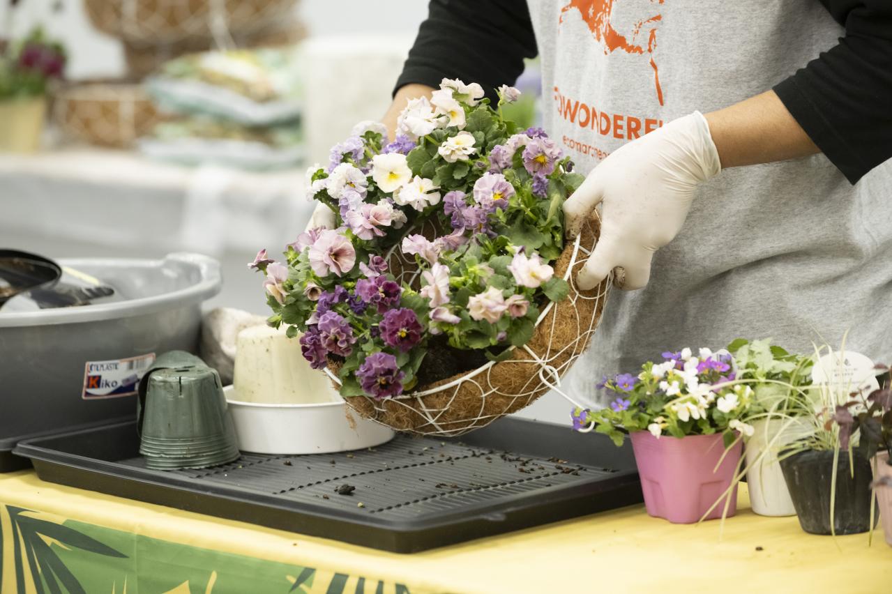 人気YouTuber【オニちゃん】が伝授！おしゃれな「寄せ植え」を作る3つのルールとは？（画像5）