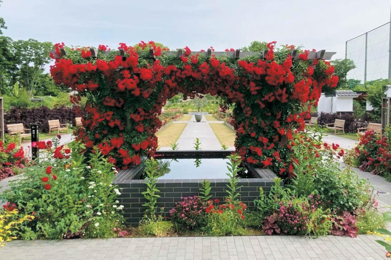 あやせローズガーデン