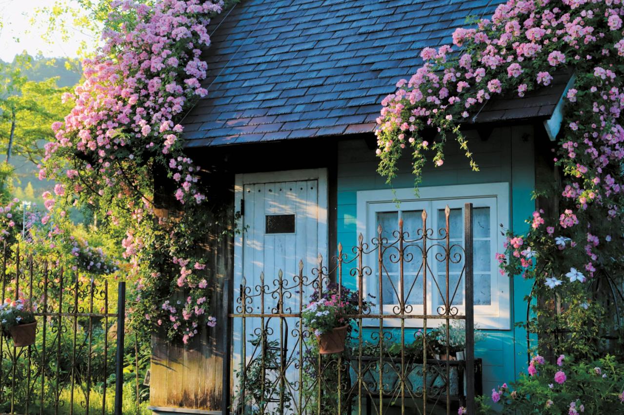 English Garden  ローザンベリー多和田　キューランブラー