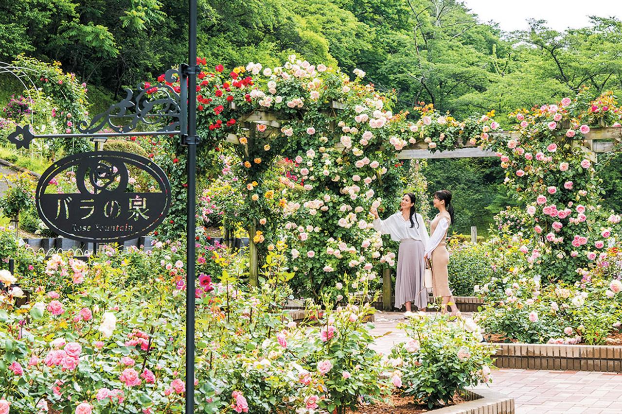 花巻温泉バラ園