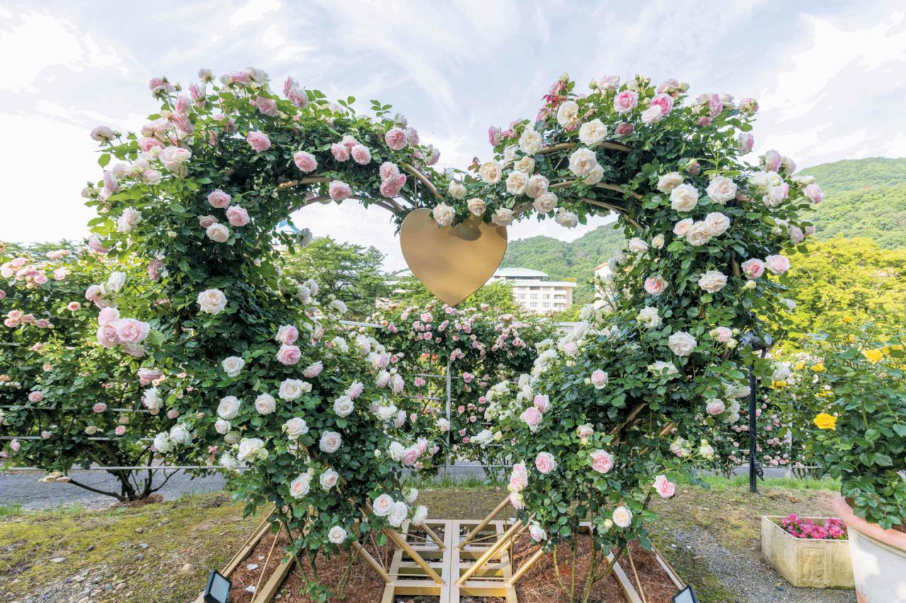 無料で行けるバラ園も！【東日本のローズガーデン】おすすめ3選。4月下旬〜7月上旬が見頃（画像6）